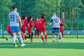 解析坦帕湾光芒的投手调度实验